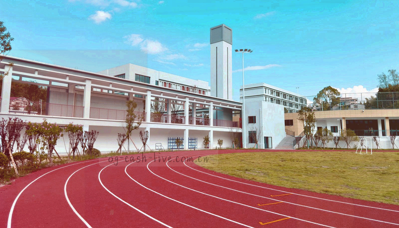 观众席光影与荧光青数据流线条交织的抽象画面